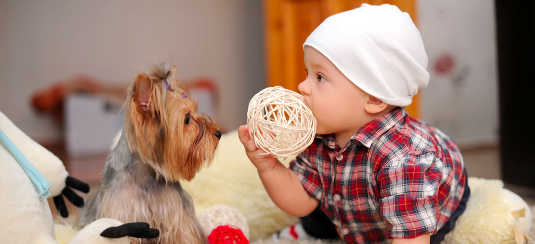 Bambini e animali: i benefici sullo sviluppo psicofisico, la Pet Therapy e le allergie