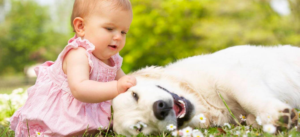 Neonati e cani: come rendere la convivenza serena