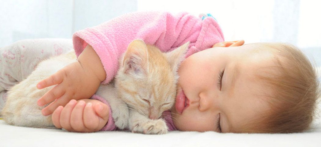Neonati e gatti: convivenza possibile?