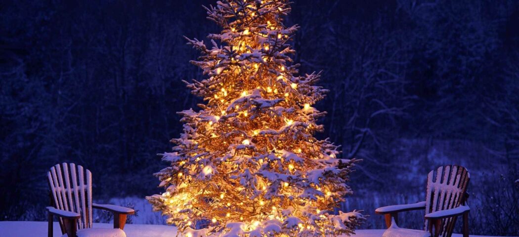 La leggenda dell'Albero di Natale