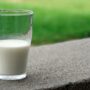 Differenza tra intolleranza al lattosio e allergie alle proteine del latte